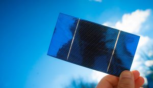 Sunex Lets Members Purchase Solar Cells and Distributes Profits as Either Bitcoin or Fiat