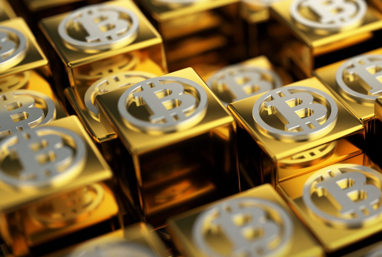 Bitcoin Gold Addresses Scam Wallet And Premine Endowment Process - 