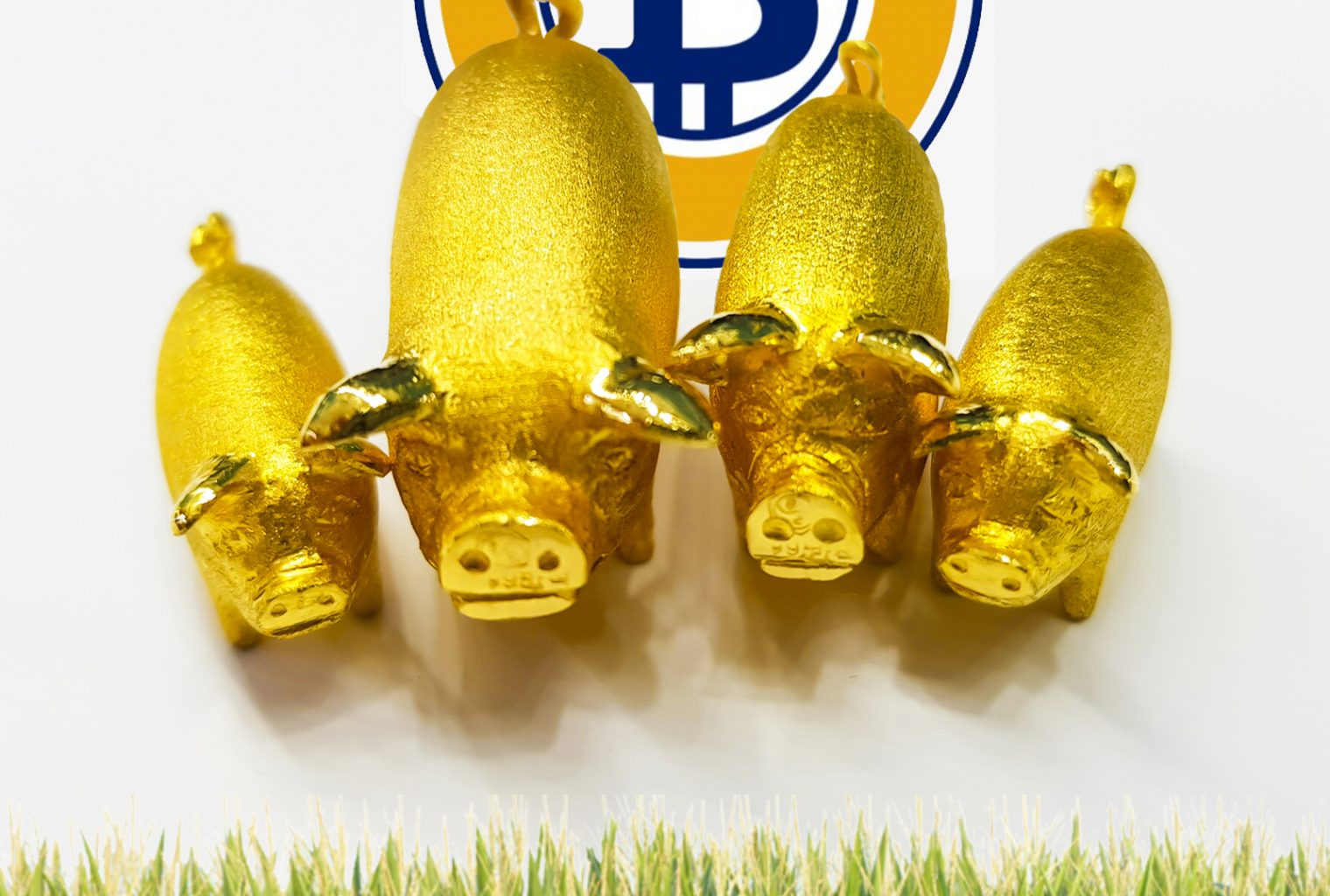 What is Bitcoin Gold (BTG)?