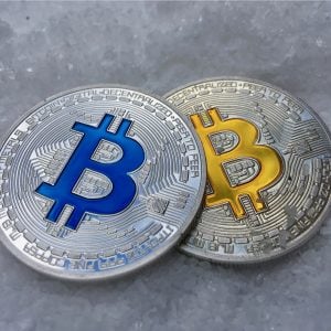 Satoshi Nakamoto’s Confidant Gavin Andresen Throws Support Behind Bitcoin Cash