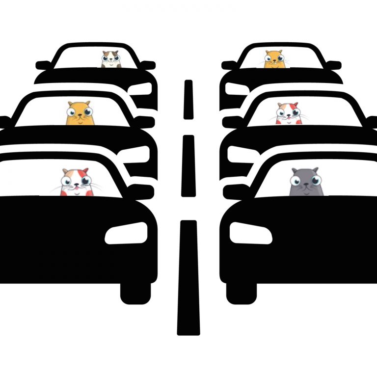 The Ethereum Blockchain is Congested by Cats