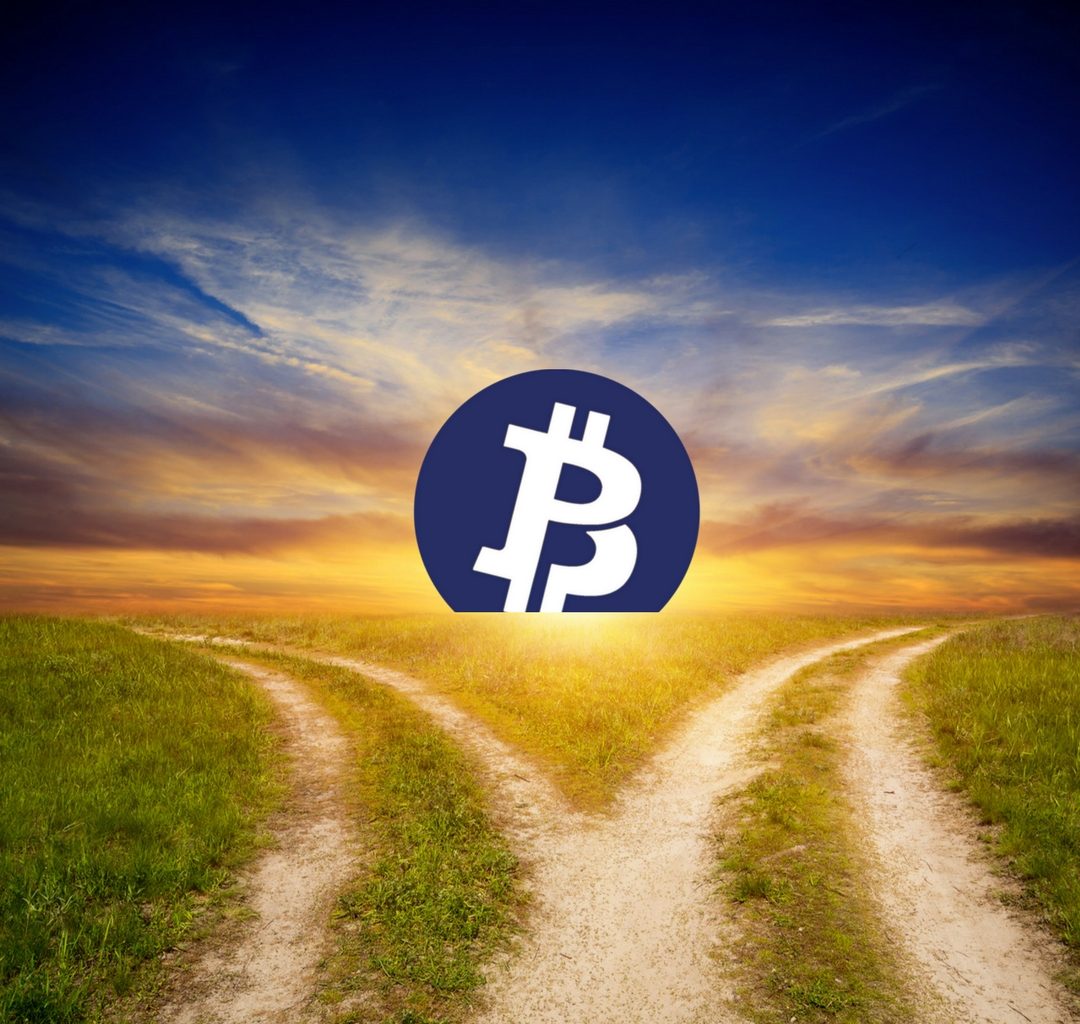 Bitcoin Private Fork Aiming To Make Bitcoin More Anonymous Bitcoin - 