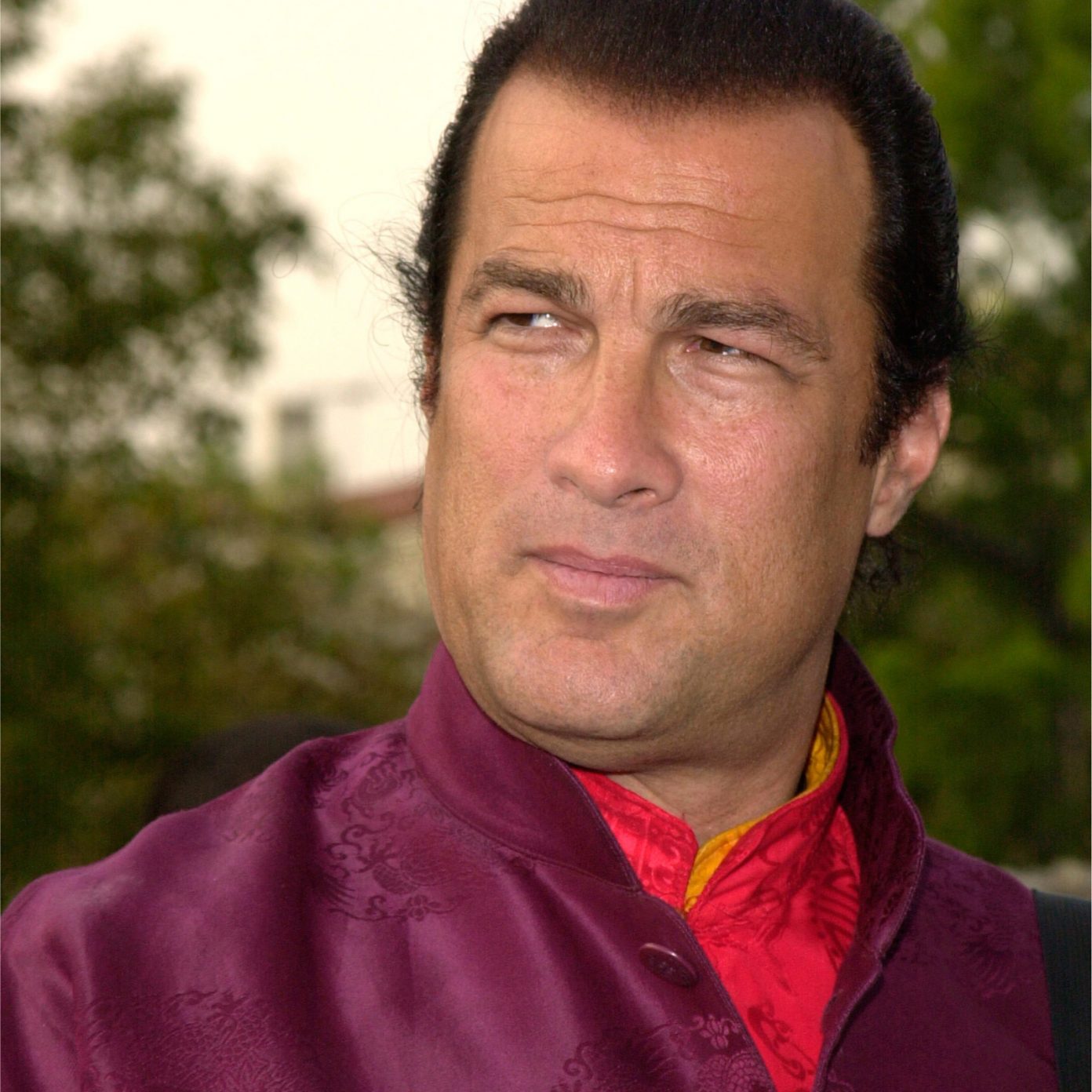 อันดับหนึ่ง 93+ ภาพ Steven Seagal ภาพยนตร์ ใหม่ที่สุด