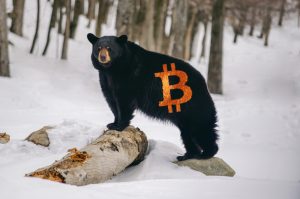 Bearish Sentiment Pervades Among Bitcoin Analysts