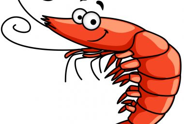 in case you missed it