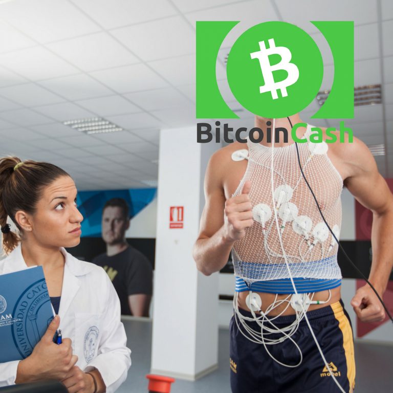 Can Bitcoin Cash Live Up to Its Hype? Real World Stress Test is Coming