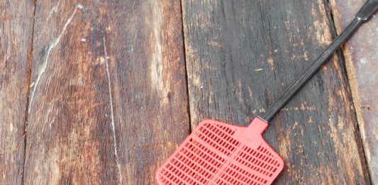 Bitcoin in Brief Thursday: New Tech and a Quick Way to Make a Fortune in Crypto