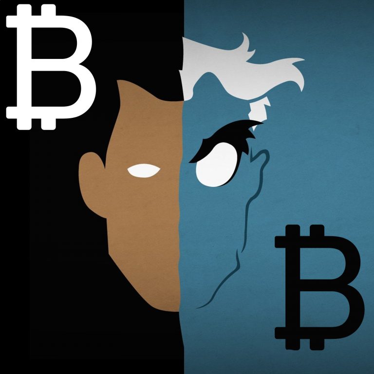  bitcoin narratives study interesting carter provides changing 