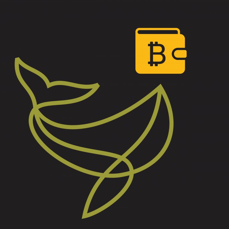  wallet bitcoin storing idea bitcoins one lot 