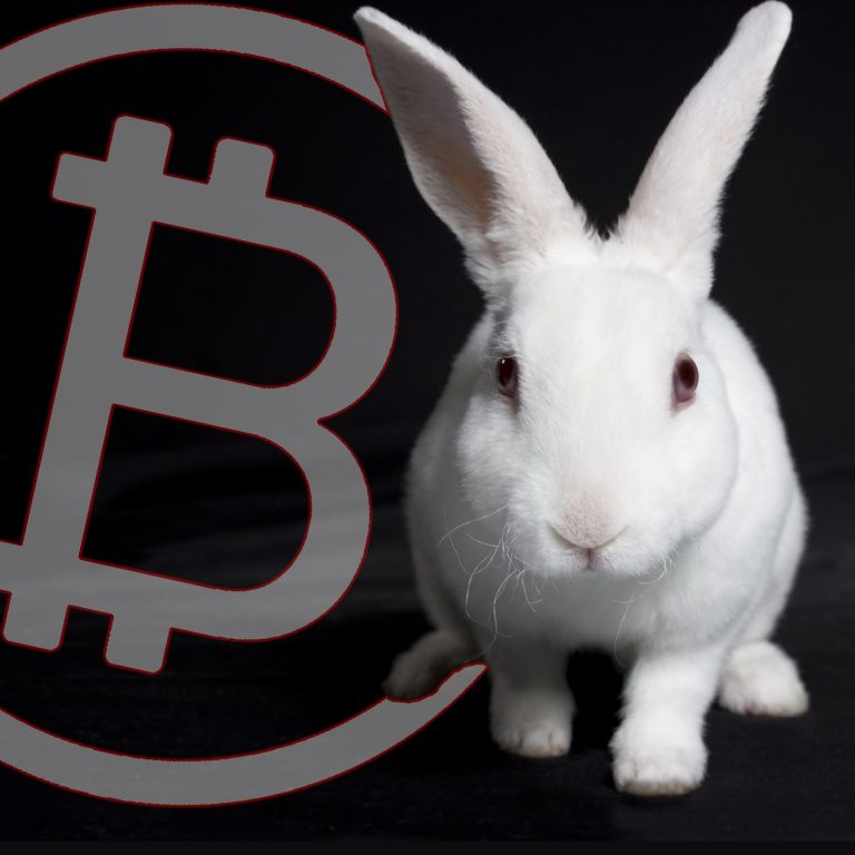 Black Hat Demo to Reveal White Rabbit Crypto-Transaction Surveillance Tool