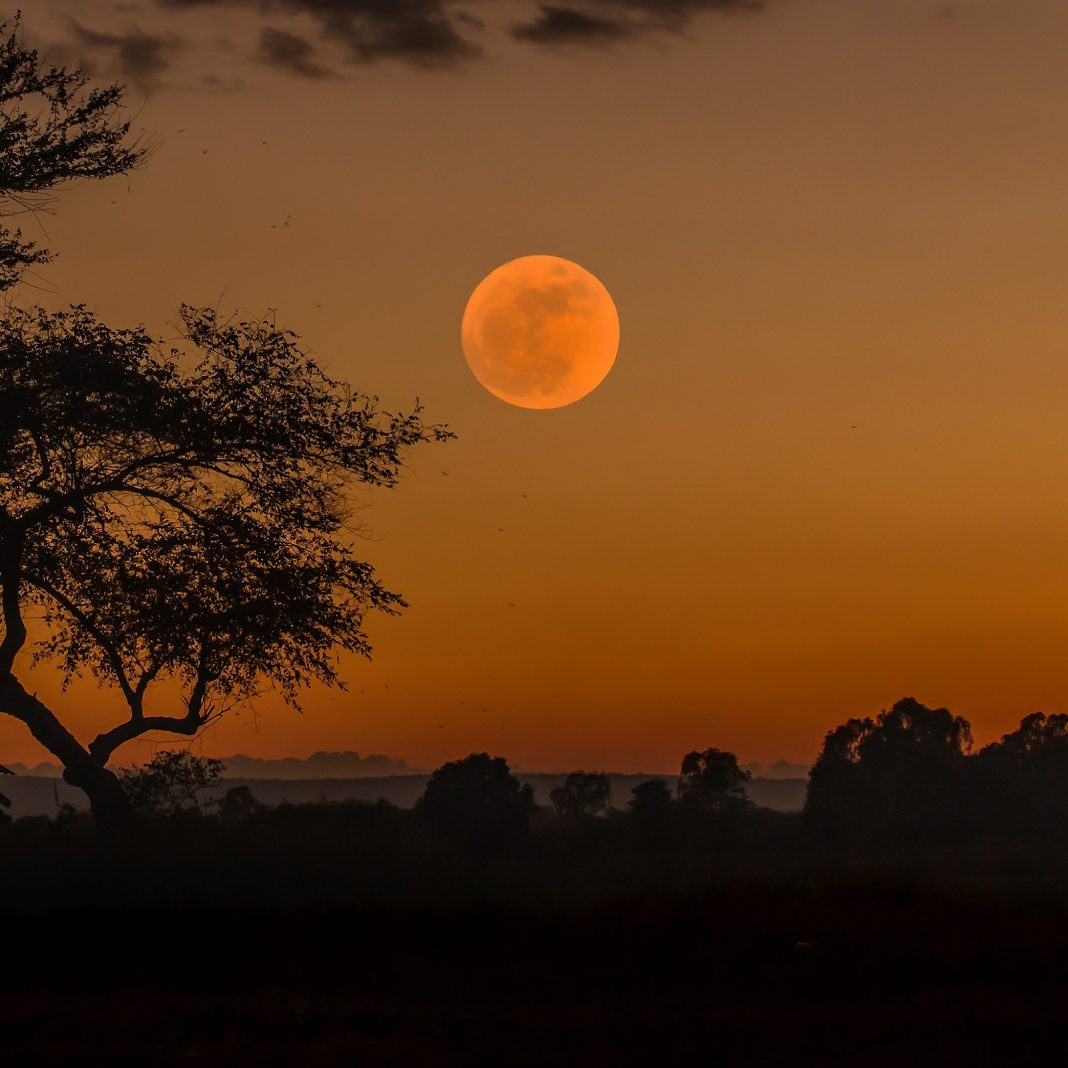 As Zimbabweans Struggle For Cash, Even The Country's Only Bitcoin ATM Has Run Dry