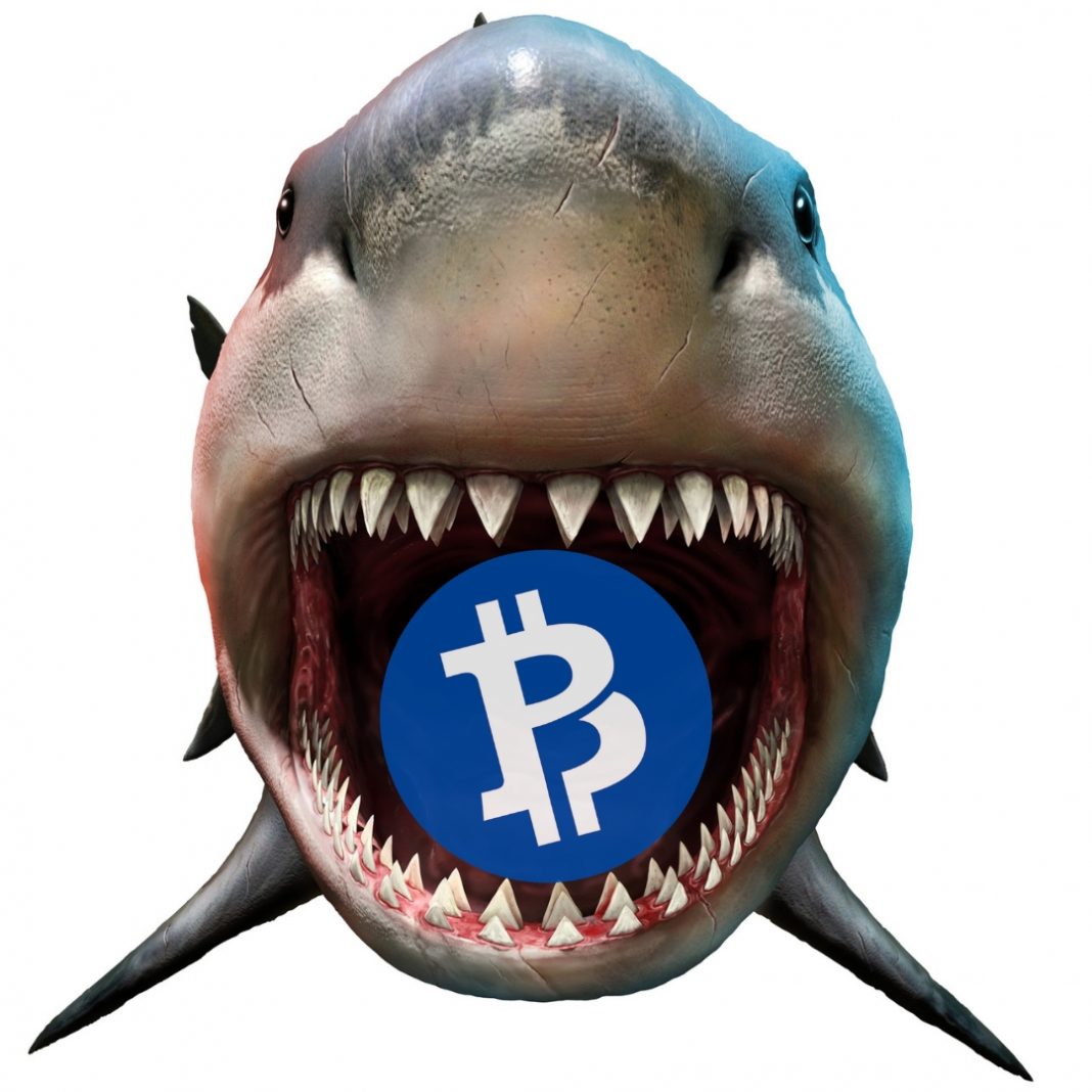 Hacker Livestreams 51% Attack on Bitcoin Private Hacker Livestreams 51% Attack on Bitcoin Private