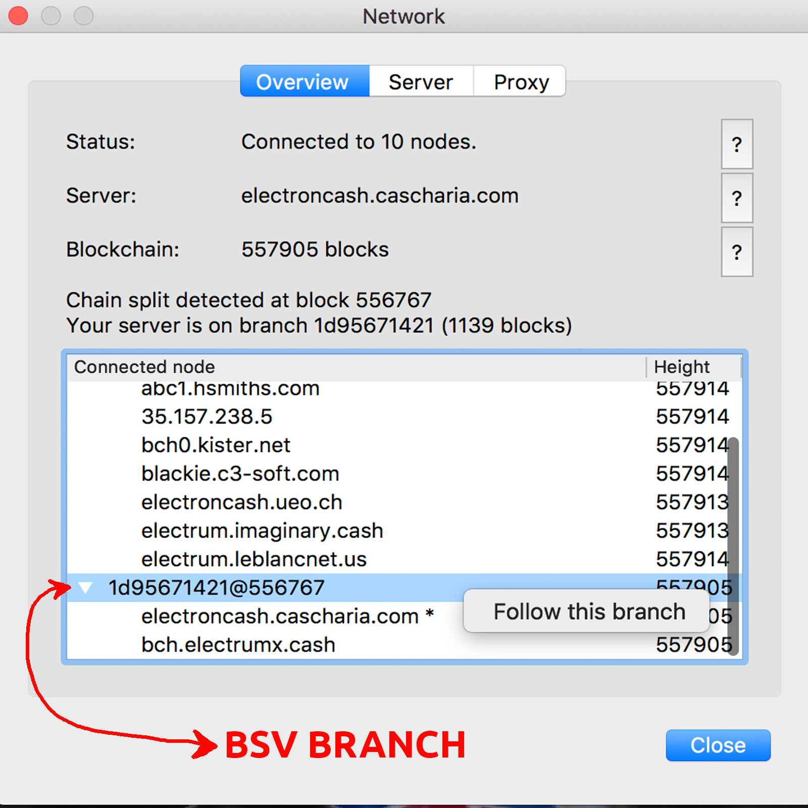 Follow This Branch A Guide To Splitting Bch And Bsv Bitcoin News - 