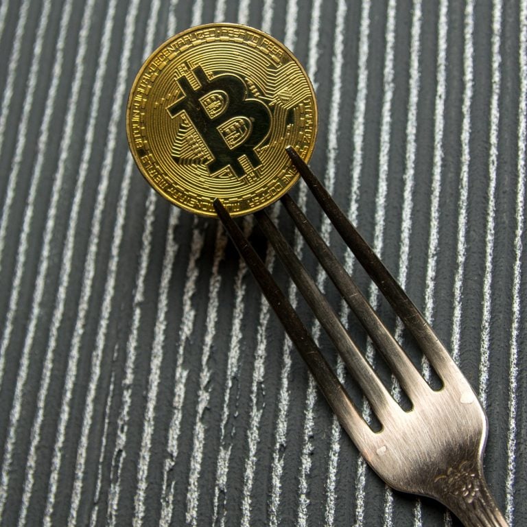 Bitcoin Cash Fork Watch: BCH Infrastructure Providers Reveal Contingency Plans