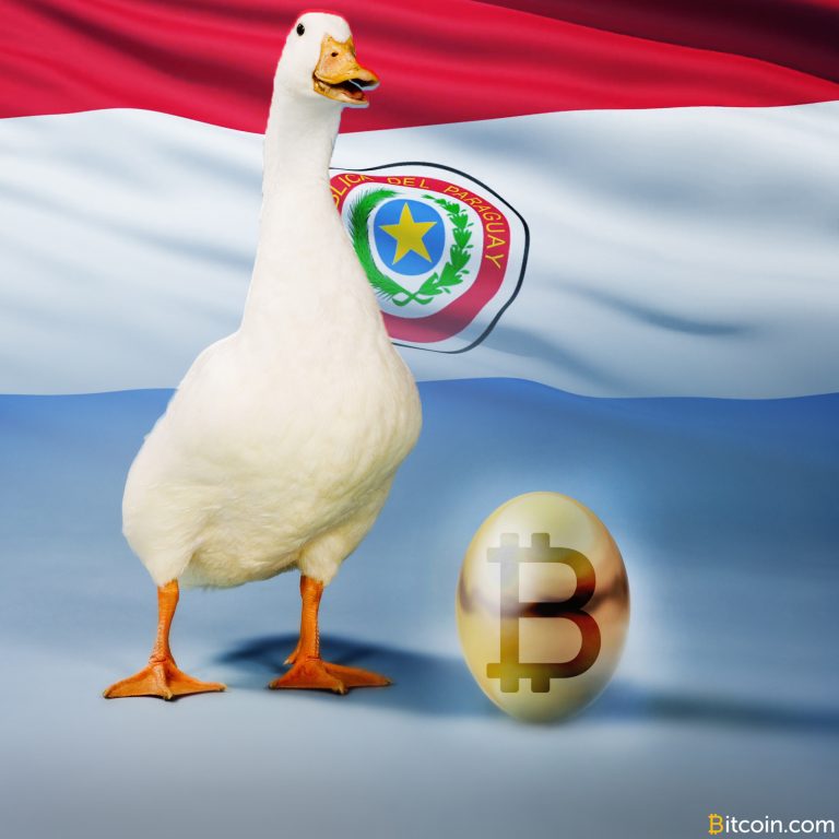  project paraguay goose mining golden land bitcoin 