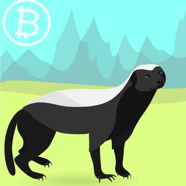  wallet badger wormhole latest tokens supports release 