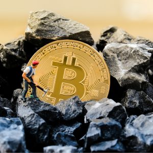 How Crypto Miners Are Being Forced to Adapt to Survive the Bear Market