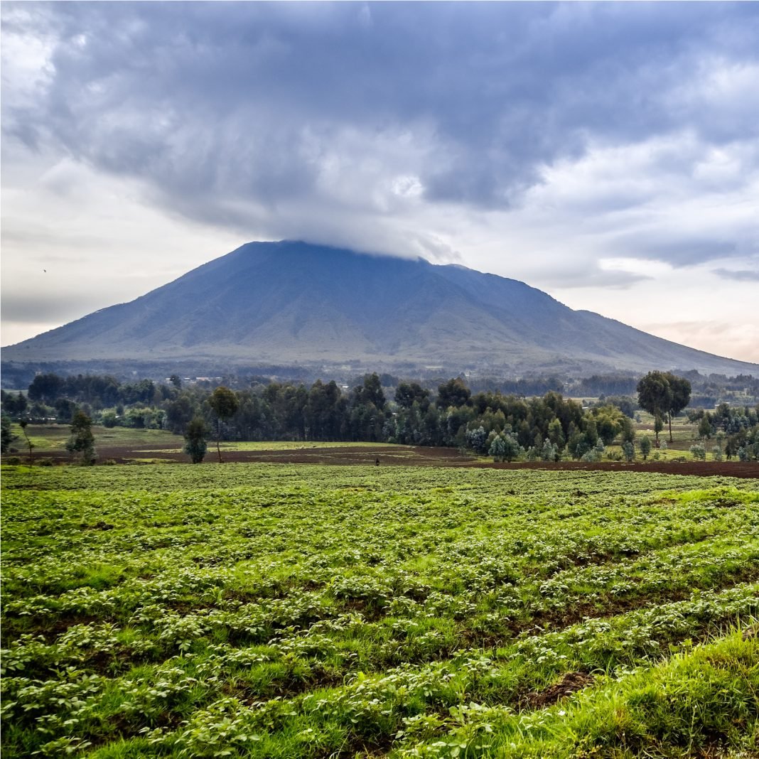 Paxful Completes Second School in Rwanda #BuiltWithBitcoin