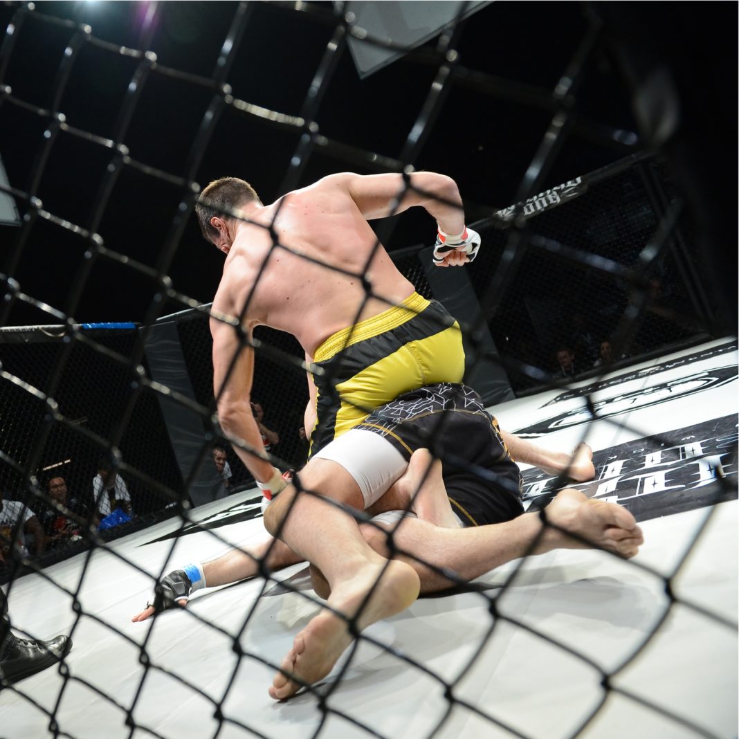The Daily: UFC 232 to Have Official Crypto Partner, 5% of Israelis Use Bitcoin