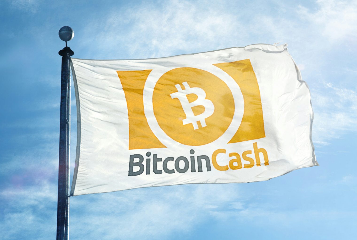 About 945 Retailers Worldwide Now Accept Bitcoin Cash - 