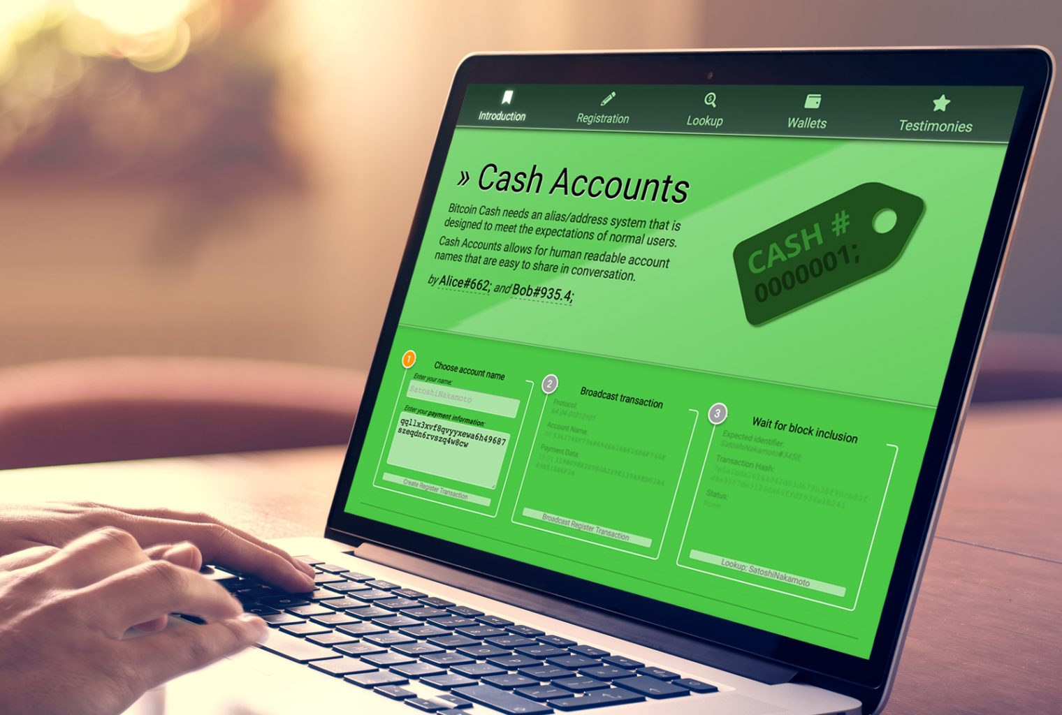 The Cashaccount Info Platform Tethers Names To Bitcoin Cash - 