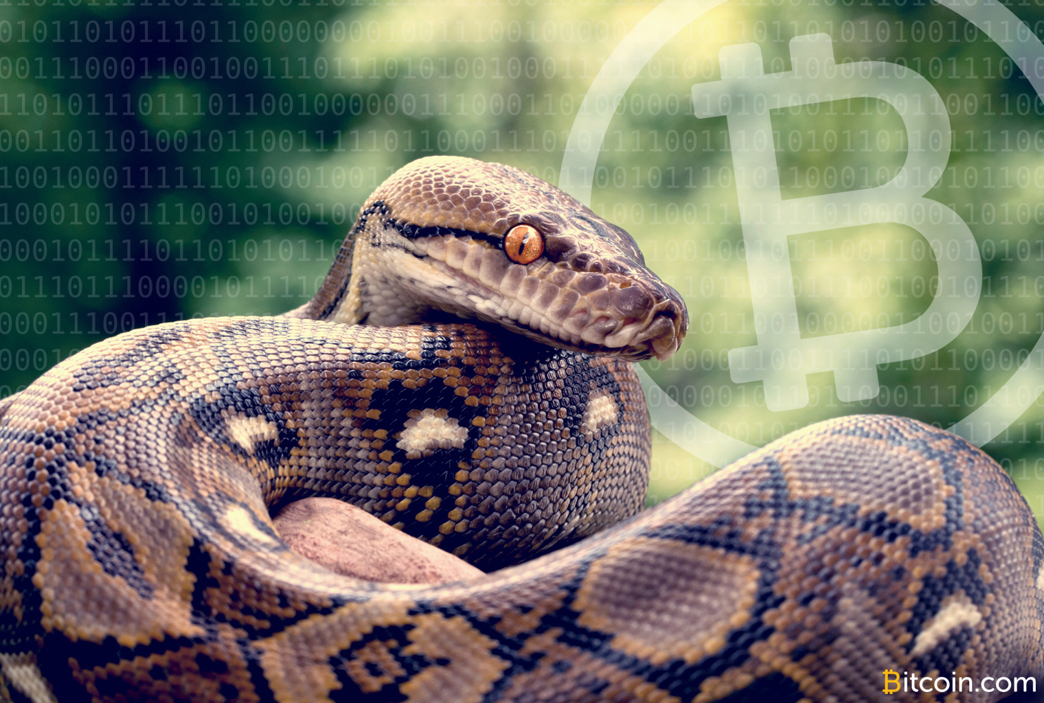 New Bitcoinpython Node Is 100x Faster Than Previous Python Libraries - 