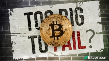 Economist Says Bitcoin Isn't Too Big to Fail — Warns BTC Can Only Establish Itself if Governments Allow It