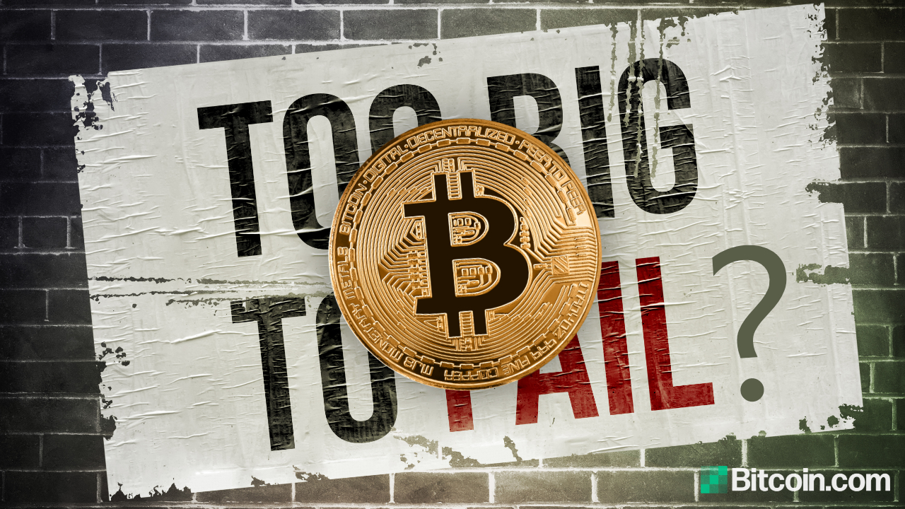 Economist Says Bitcoin Is Not Too Big to Fail – Warning BTC Can’t Establish Itself Unless Governments Permit It – Bitcoin News Regulation