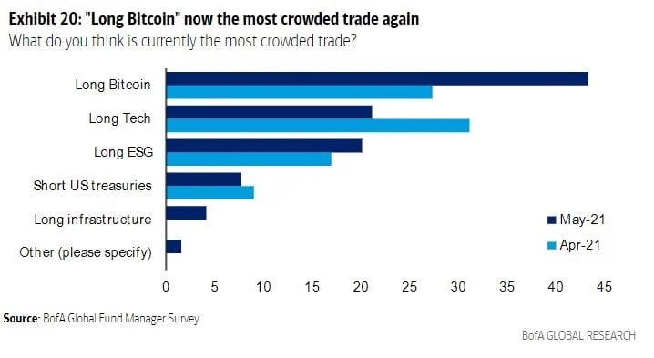 Bank of America Survey: 'Long Bitcoin' Is Most Crowded Trade, 75% of Fund Managers See BTC as Bubble