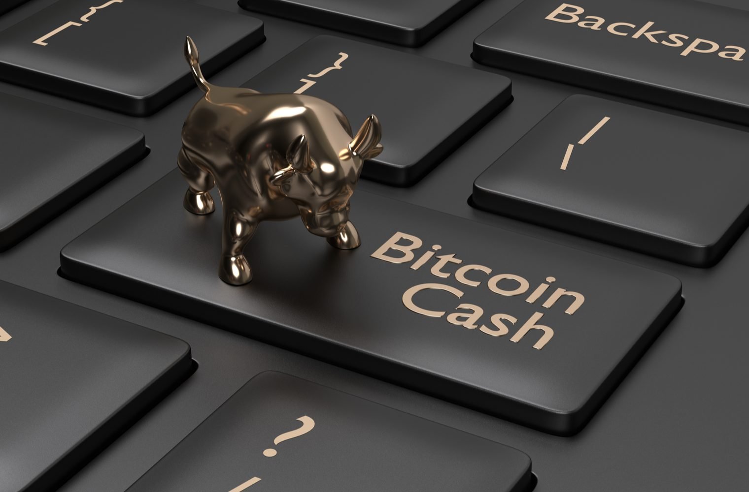 Crypto Investment Group Grayscale lanza Bitcoin Cash Primer