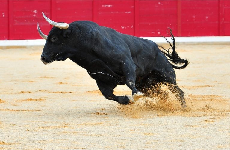 How the Recent Crypto Rally Compares With Previous Bull Runs