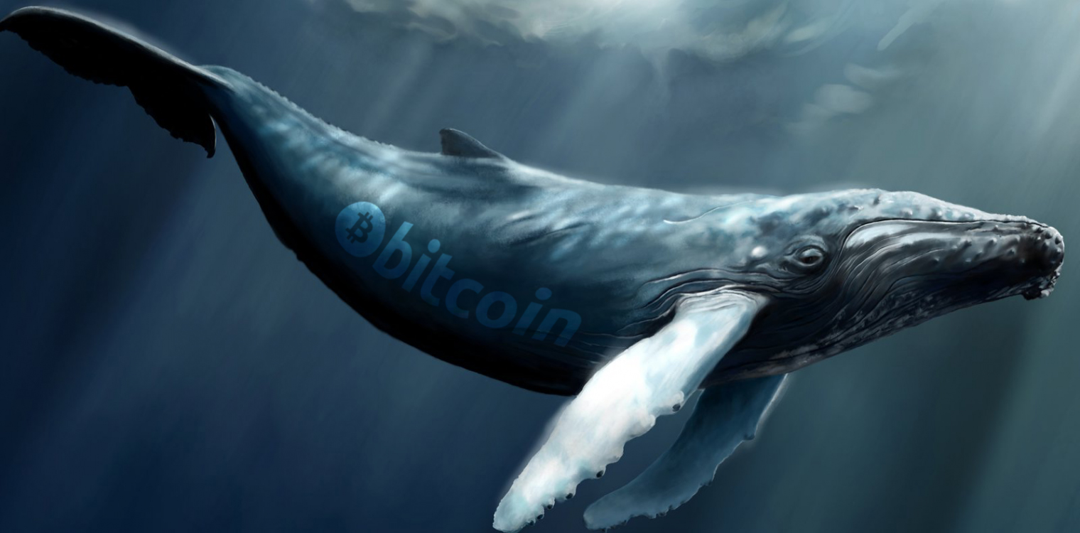 Alors que les marchés se déplacent latéralement, les observations de baleines cryptées augmentent "width =" 1520 "height =" 750 "srcset =" https://news.bitcoin.com/wp-content/uploads/2019/12/whaleyo.jpg 1520w, https: //news.bitcoin.com/wp-content/uploads/2019/12/whaleyo-300x148.jpg 300w, https://news.bitcoin.com/wp-content/uploads/2019/12/whaleyo-1024x505.jpg 1024w, https://news.bitcoin.com/wp-content/uploads/2019/12/whaleyo-768x379.jpg 768w, https://news.bitcoin.com/wp-content/uploads/2019/12/whaleyo -324x160.jpg 324w, https://news.bitcoin.com/wp-content/uploads/2019/12/whaleyo-648x320.jpg 648w, https://news.bitcoin.com/wp-content/uploads/2019/2019 /12/whaleyo-696x343.jpg 696w, https://news.bitcoin.com/wp-content/uploads/2019/12/whaleyo-1392x687.jpg 1392w, https://news.bitcoin.com/wp-content /uploads/2019/12/whaleyo-1068x527.jpg 1068w, https://news.bitcoin.com/wp-content/uploads/2019/12/whaleyo-851x420.jpg 851w "tailles =" (largeur max: 1520px ) 100vw, 1520px