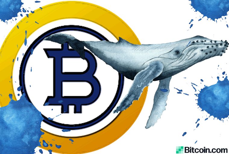 Bitcoin Gold Whale supuestamente controla la mitad del suministro de BTG