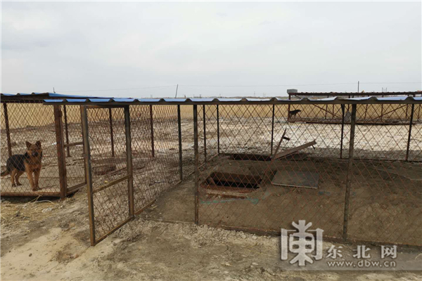 Foto do canil chinês escondendo o complexo de mineração de Bitcoin