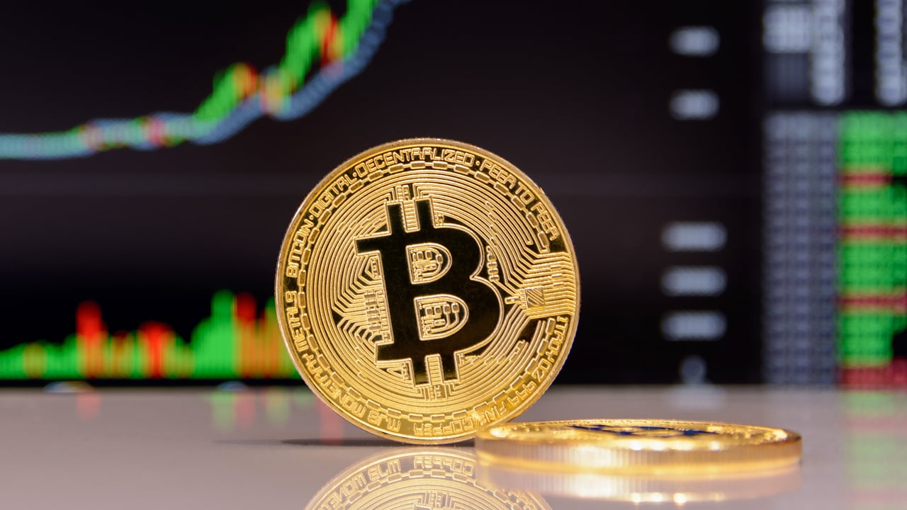 Average Price of Bitcoin More Than Quadrupled Between Halvings | Economics  Bitcoin News