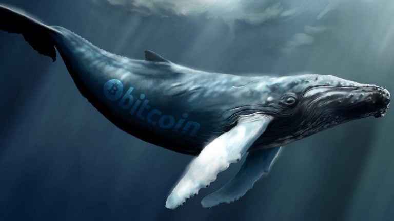 Bitcoin Whale Population Spikes to 1,882 - Highest Level in Three Years