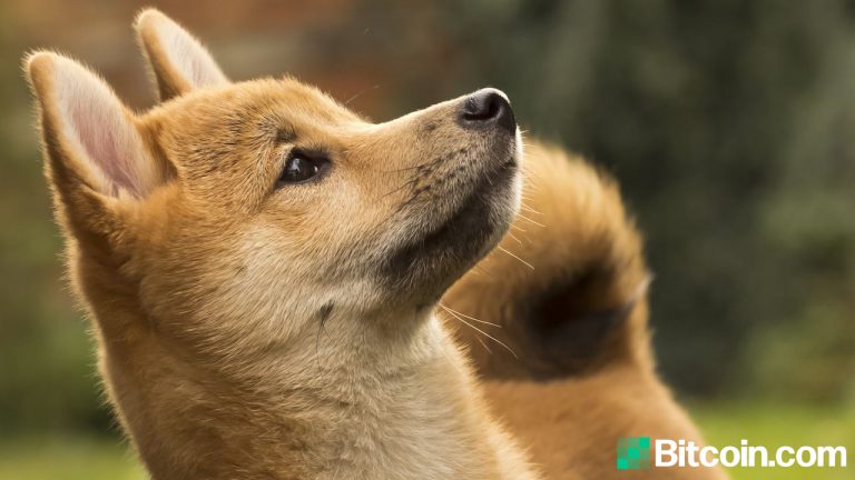 A Mysterious Dogecoin Address Absorbed 27% of the Supply, the Top 20 Addresse...