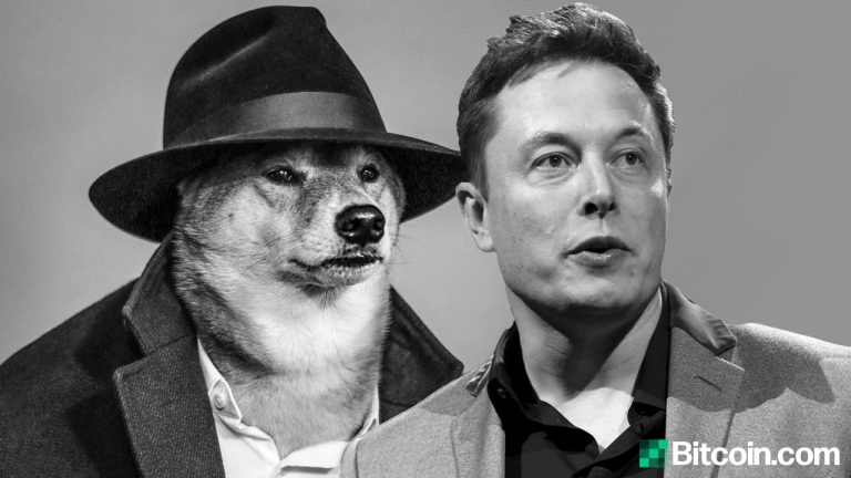  dogecoin musk elon mysterious reported wallet critically 