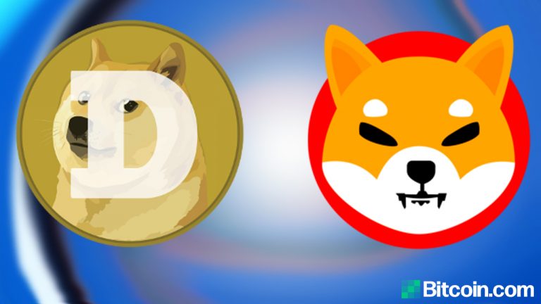 SHIB vs. DOGE – Who Is the Top Dog in Crypto Land?